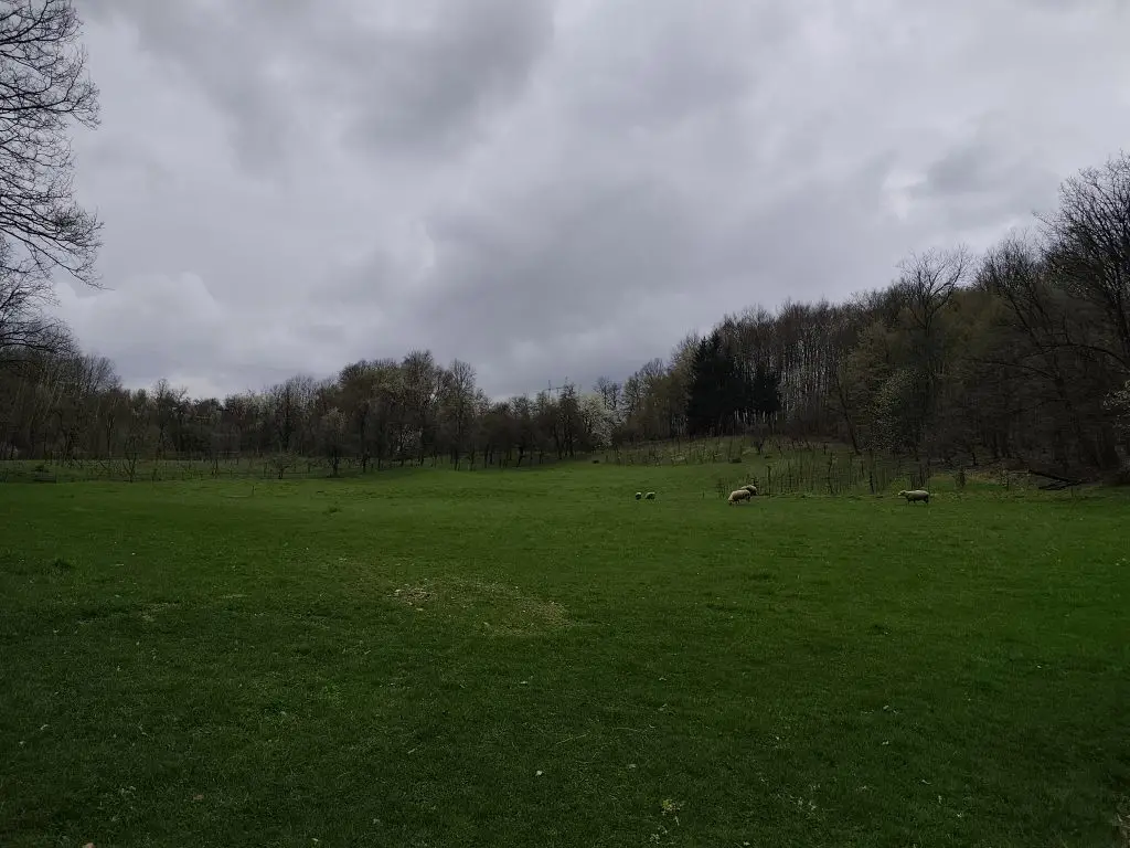 Sirogojno selo priroda