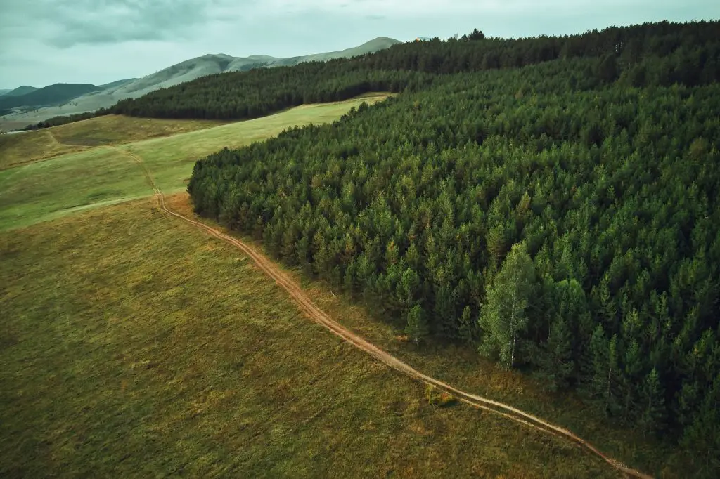 Zlatibor turizam , pogled iz vazduha na borovu šumu